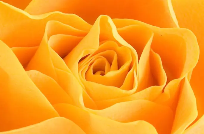 Herzensliebe als Heilung Harmonie Duft heilt